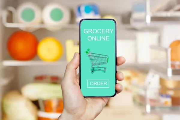 10 Reasons Why Your Buyers Prefer An Online Grocery Store: